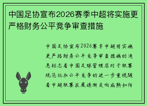中国足协宣布2026赛季中超将实施更严格财务公平竞争审查措施 中国足协宣布2026赛季中超将实施更严格财务公平竞争审查措施